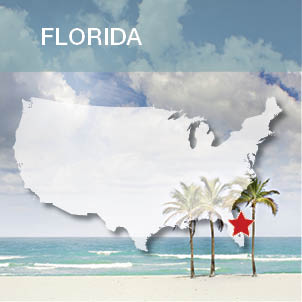 State Contacts (FL) - WFG Agent